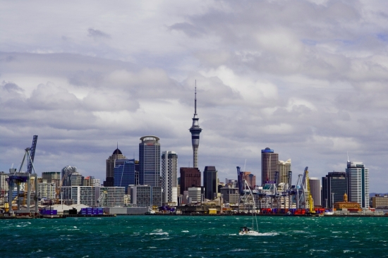 New-Zealand-Commercial-Sales-hit-Six-Year-High